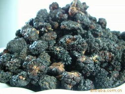廣州亞隆生物科技 融合前沿生物技術(shù)的干果產(chǎn)品創(chuàng)新實踐